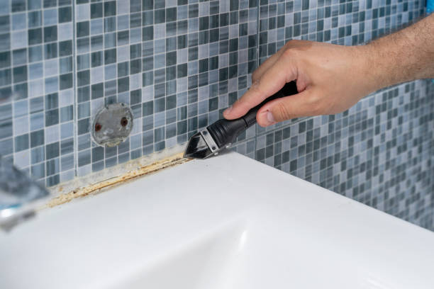Best Office Mold Removal Services  in Arden Arde, CA