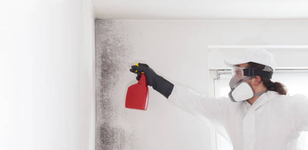 Best Crawl Space Mold Removal  in Arden Arde, CA