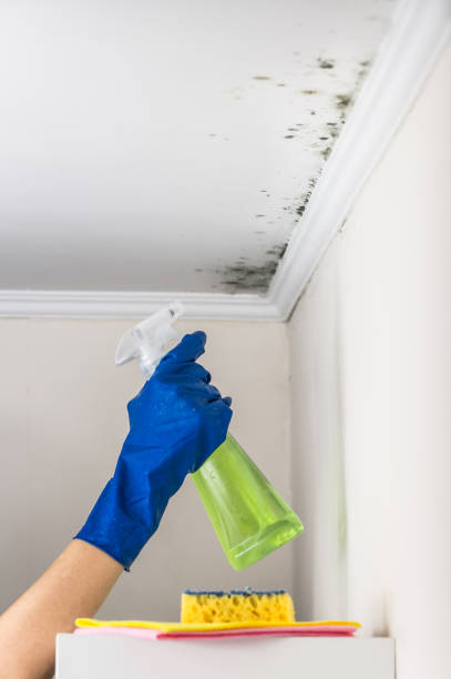 Best Crawl Space Mold Removal  in Arden Arde, CA